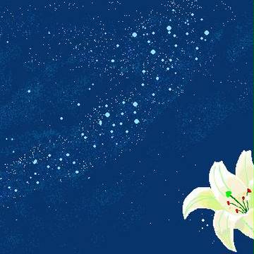 花と星