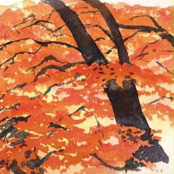 紅葉習作１