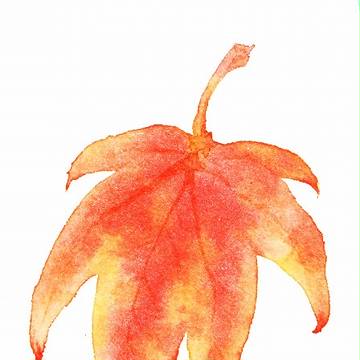 紅葉習作２