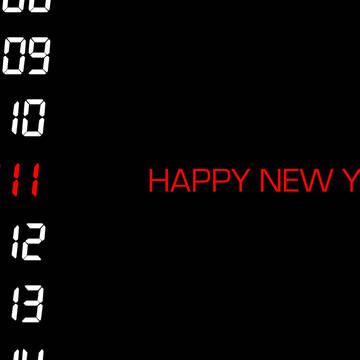2011年年賀状 2