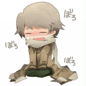 ぼろぼろ