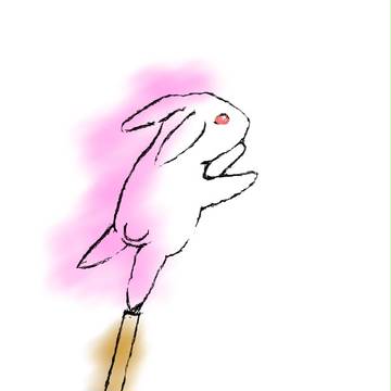 ウサギちゃん