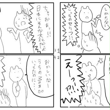 異文化交流