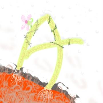 雪
