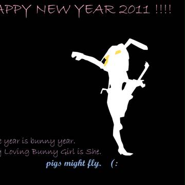 HAPPY NEW YEAR 2011 !!