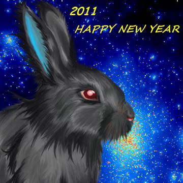 2011 Happy New Year