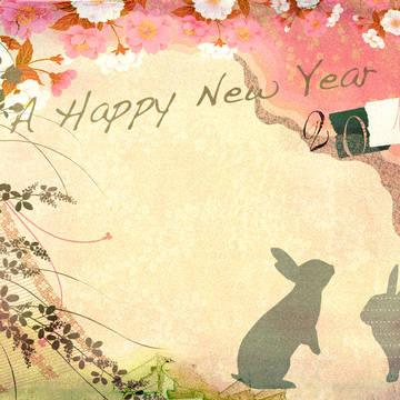 A Happy New Year 2011
