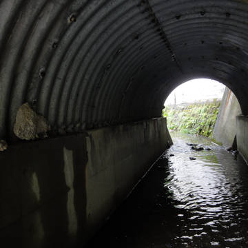 無題シリーズ。取材写真その３
