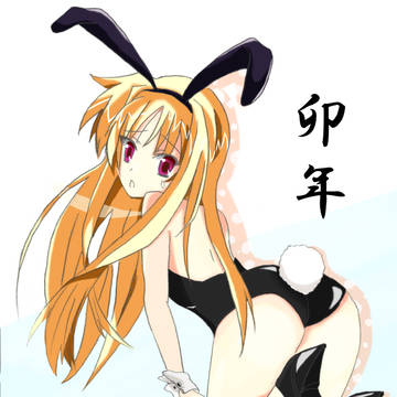 うさぎ年