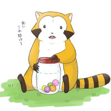 あらいぐまの子