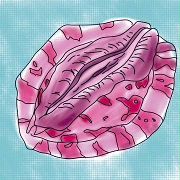 あわびを色調補正