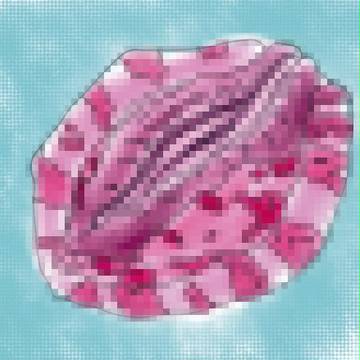 あわびを色調補正してモザイク
