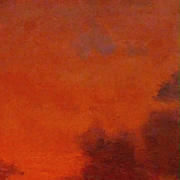 空5