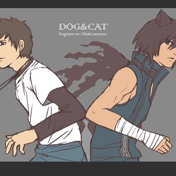 DOG&CAT