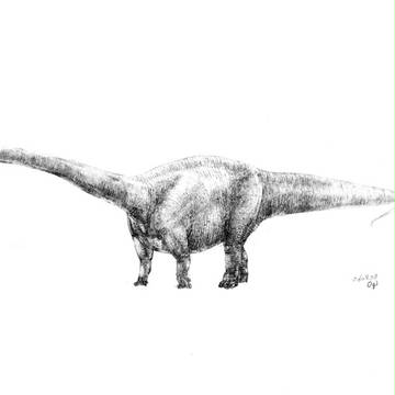 スーパーサウルス