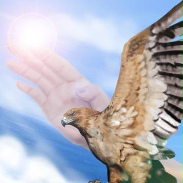 Fly With You