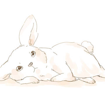 ウサ