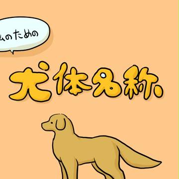 私のべんきょー。