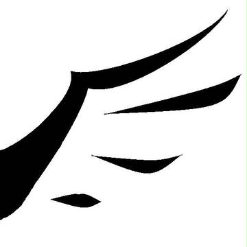 羽