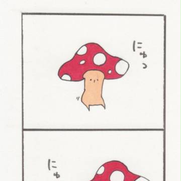 どこのこきのこ