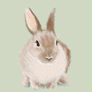 うさぎ