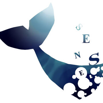 SENSE