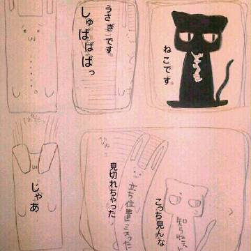 うさぎねこ☆