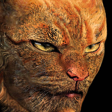 Cat Man