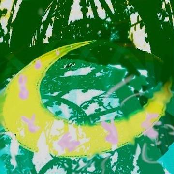 兎月泉森。