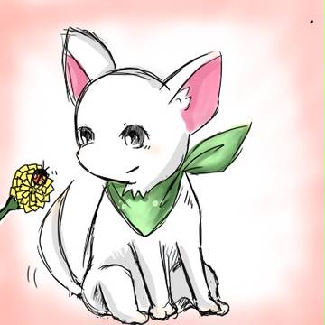 犬とてんとうむし。