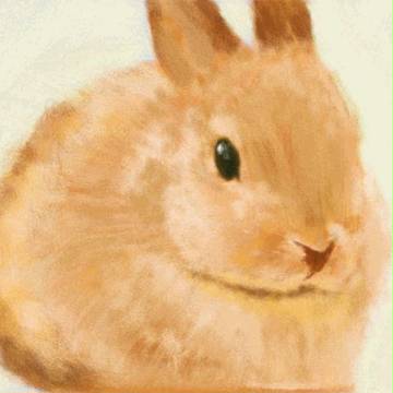 年賀状用うさぎ