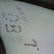 雪文字と化した三人