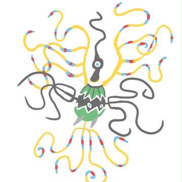 うわー伸びたー