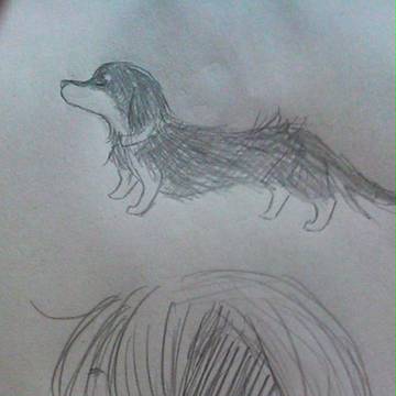 うちの犬。