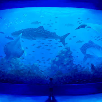 水族館