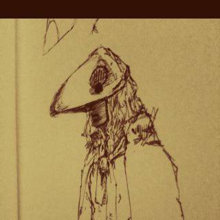 black bird fly