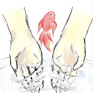 金魚