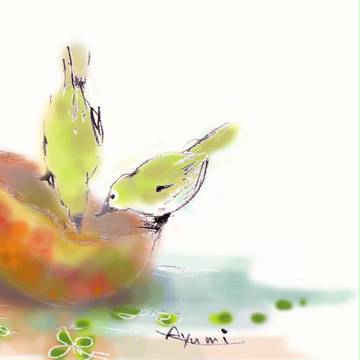めじろ