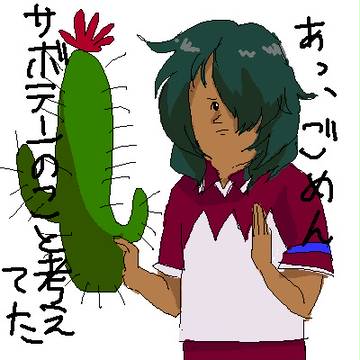 多肉系植物大好きなんだけど