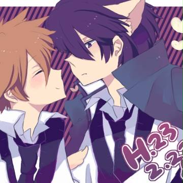ねこのひ