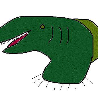 アナゴウツボ