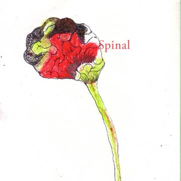 Spinal