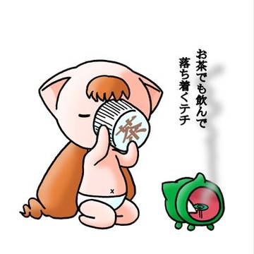 実装石