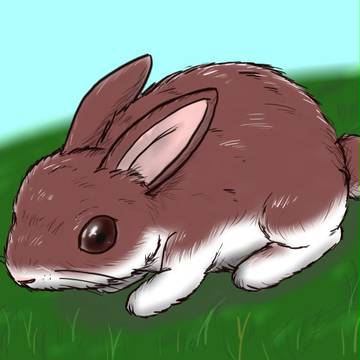 今更うさぎ
