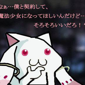 QBさん