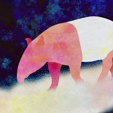 夢ばかりを
