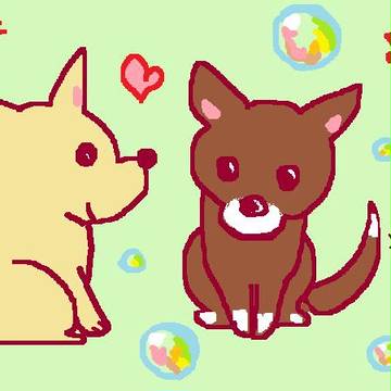 チワワズとシャボン玉