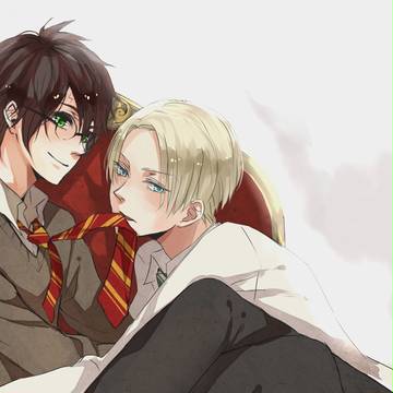 HP/DM