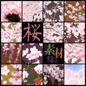 【素材】桜16枚詰め合わせ