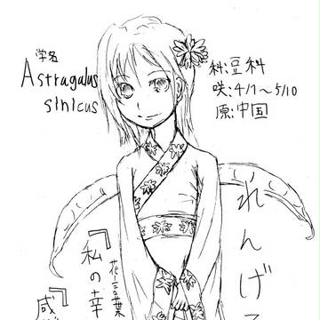誕生花を擬人化してみた　蓮華草(れんげそう)